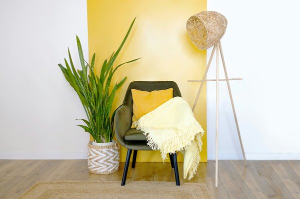 Idées de décorations tendance pour sublimer votre intérieur